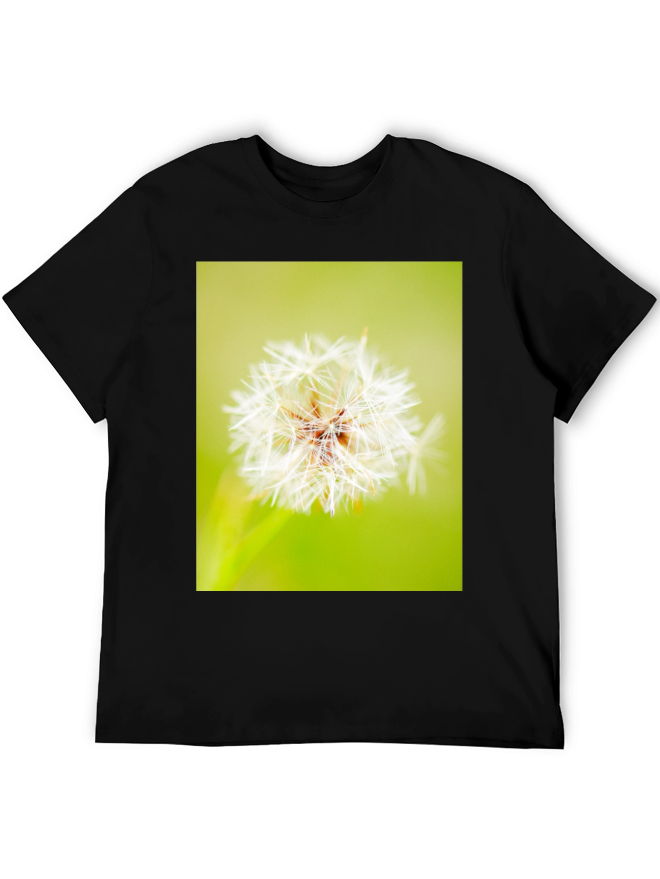 Dandelion Graphic Black T-Shirt