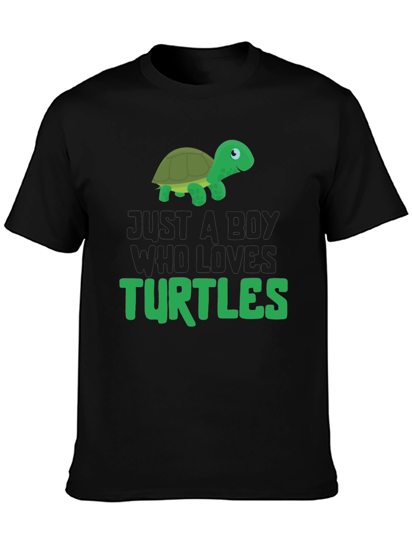 Boy Who Loves Turtles T-Shirt