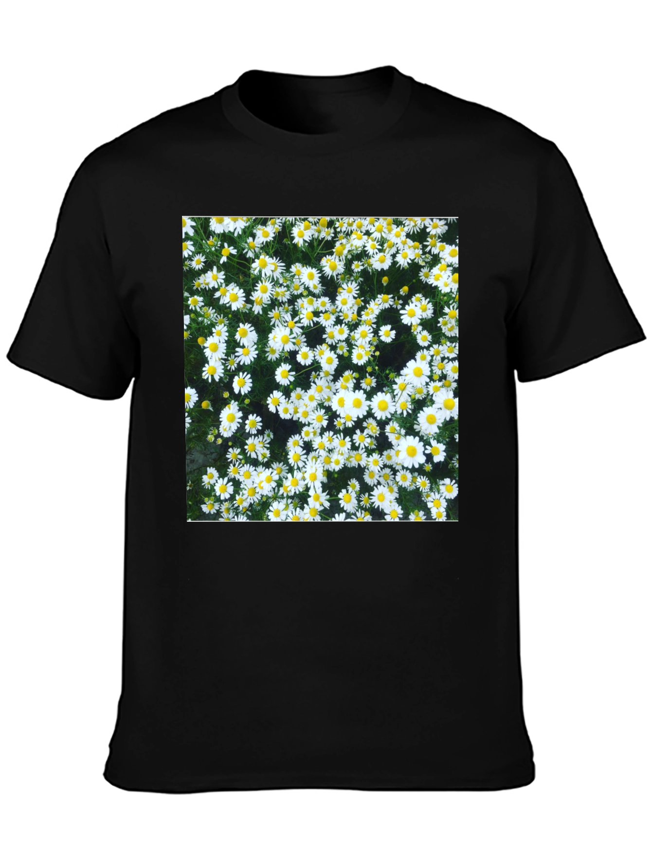 Daisy Print Black T-Shirt - Floral Pattern Tee