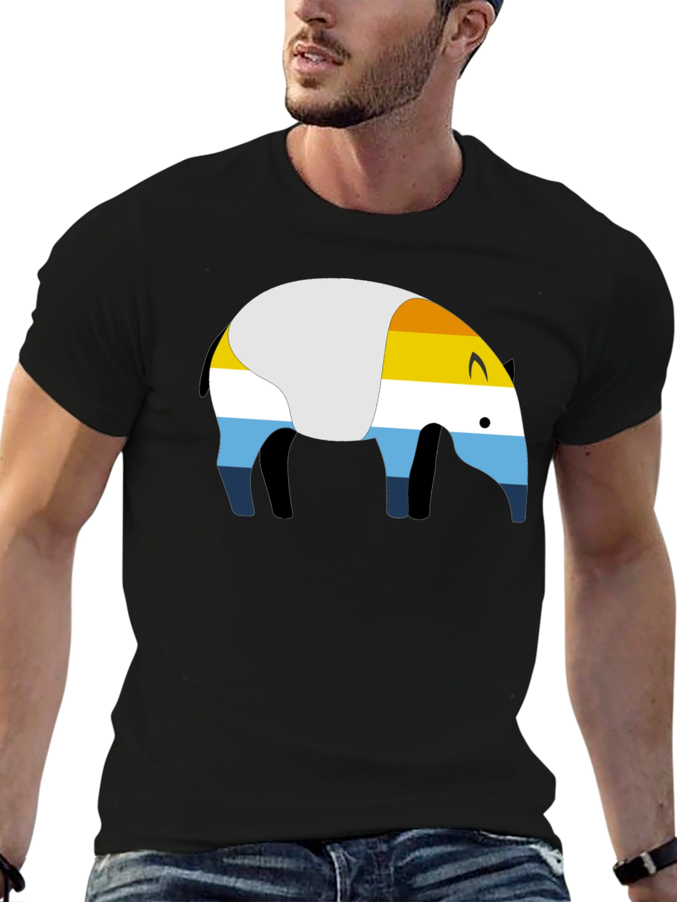 Arromantic Pride T-Shirt: A Symbol of Identity