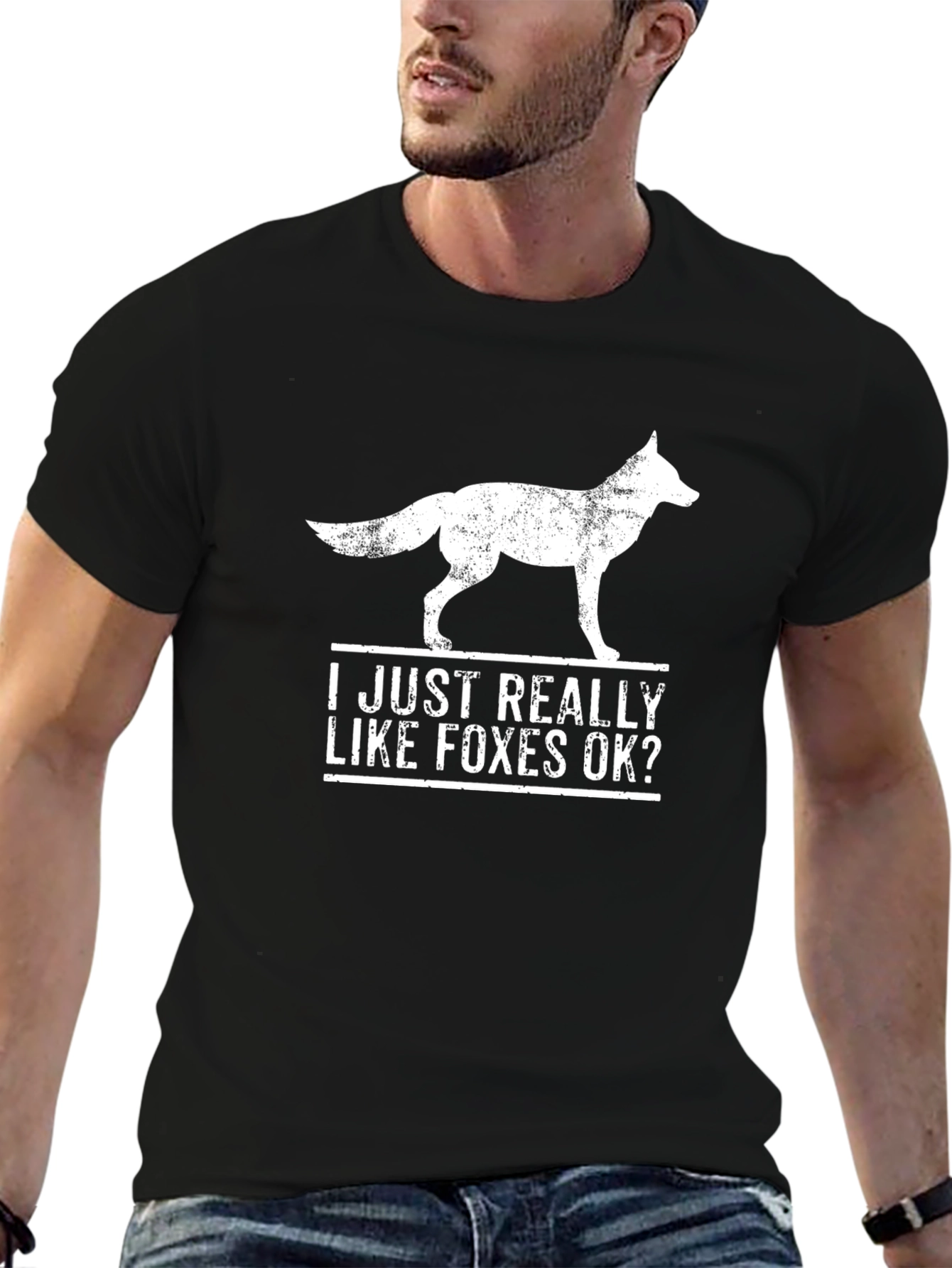 I Just Really Like Foxes OK? T-Shirt