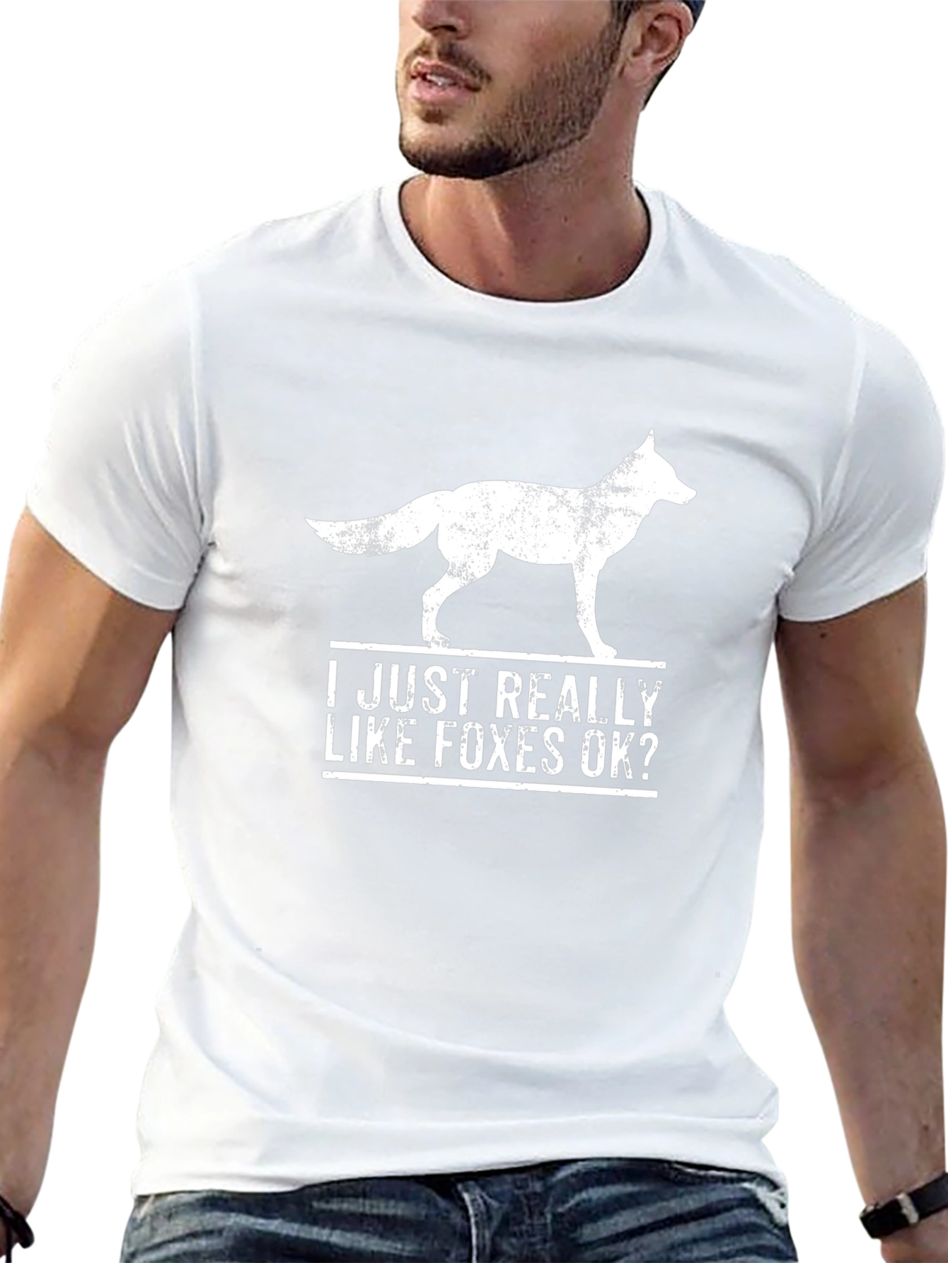 I Just Really Like Foxes OK? T-Shirt