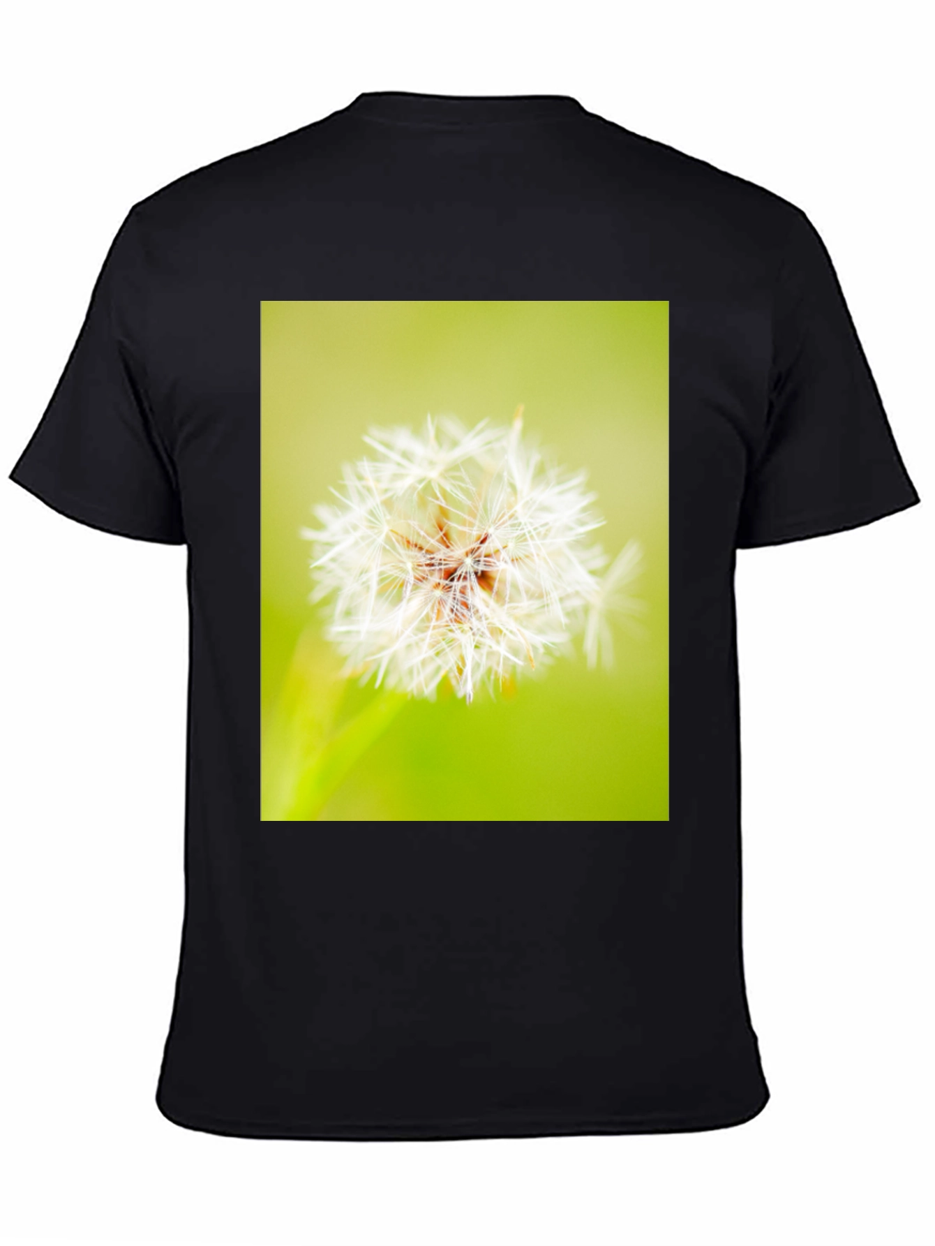 Dandelion Graphic Black T-Shirt