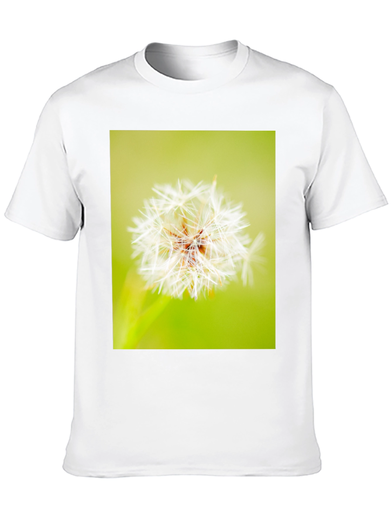 Dandelion Graphic Black T-Shirt