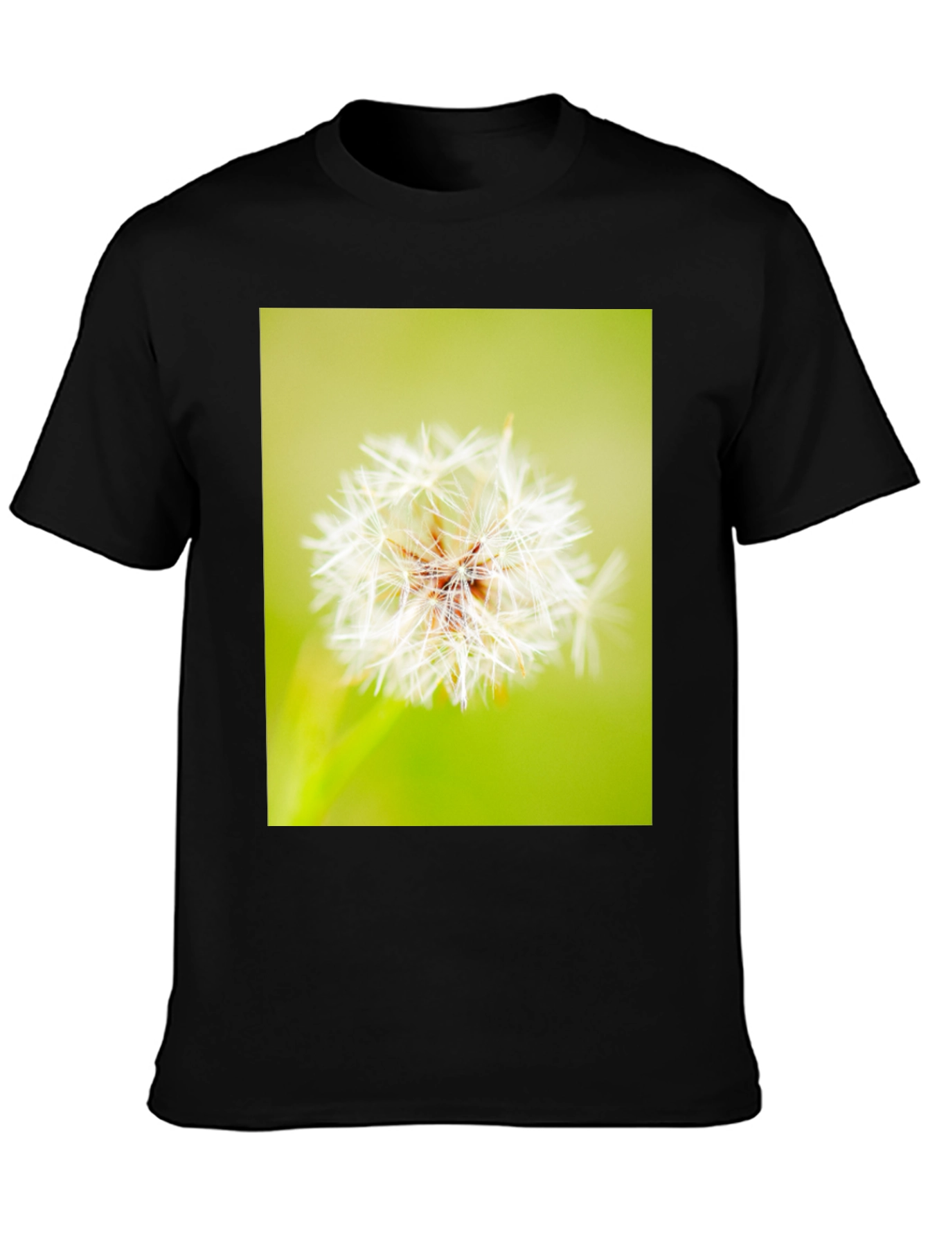Dandelion Graphic Black T-Shirt