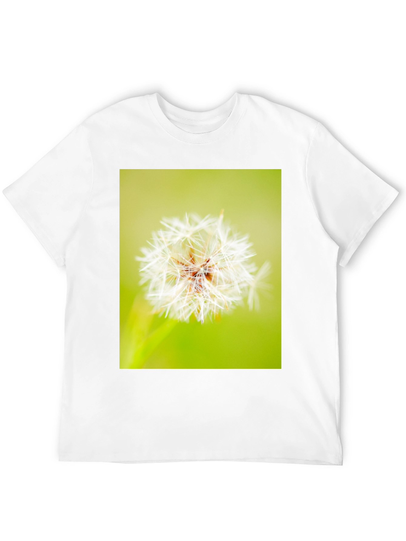 Dandelion Graphic Black T-Shirt