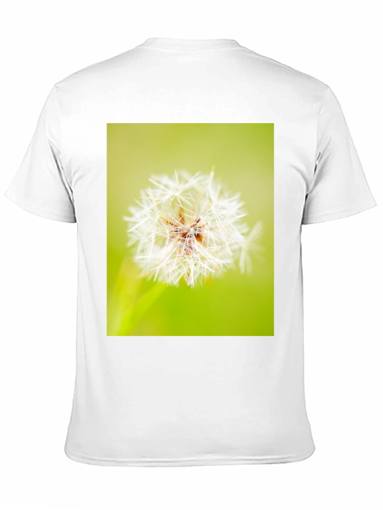 Dandelion Graphic Black T-Shirt