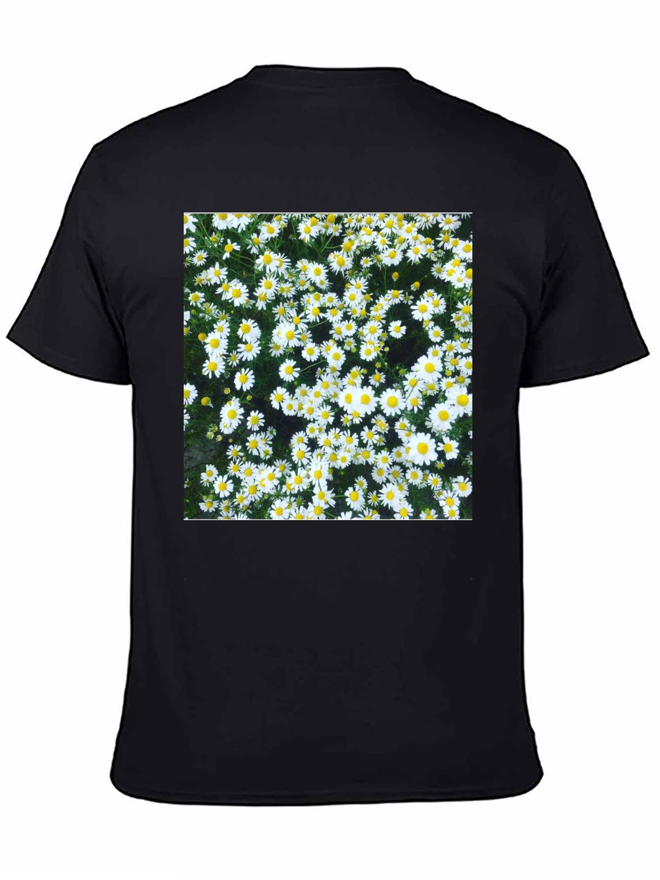 Daisy Print Black T-Shirt - Floral Pattern Tee
