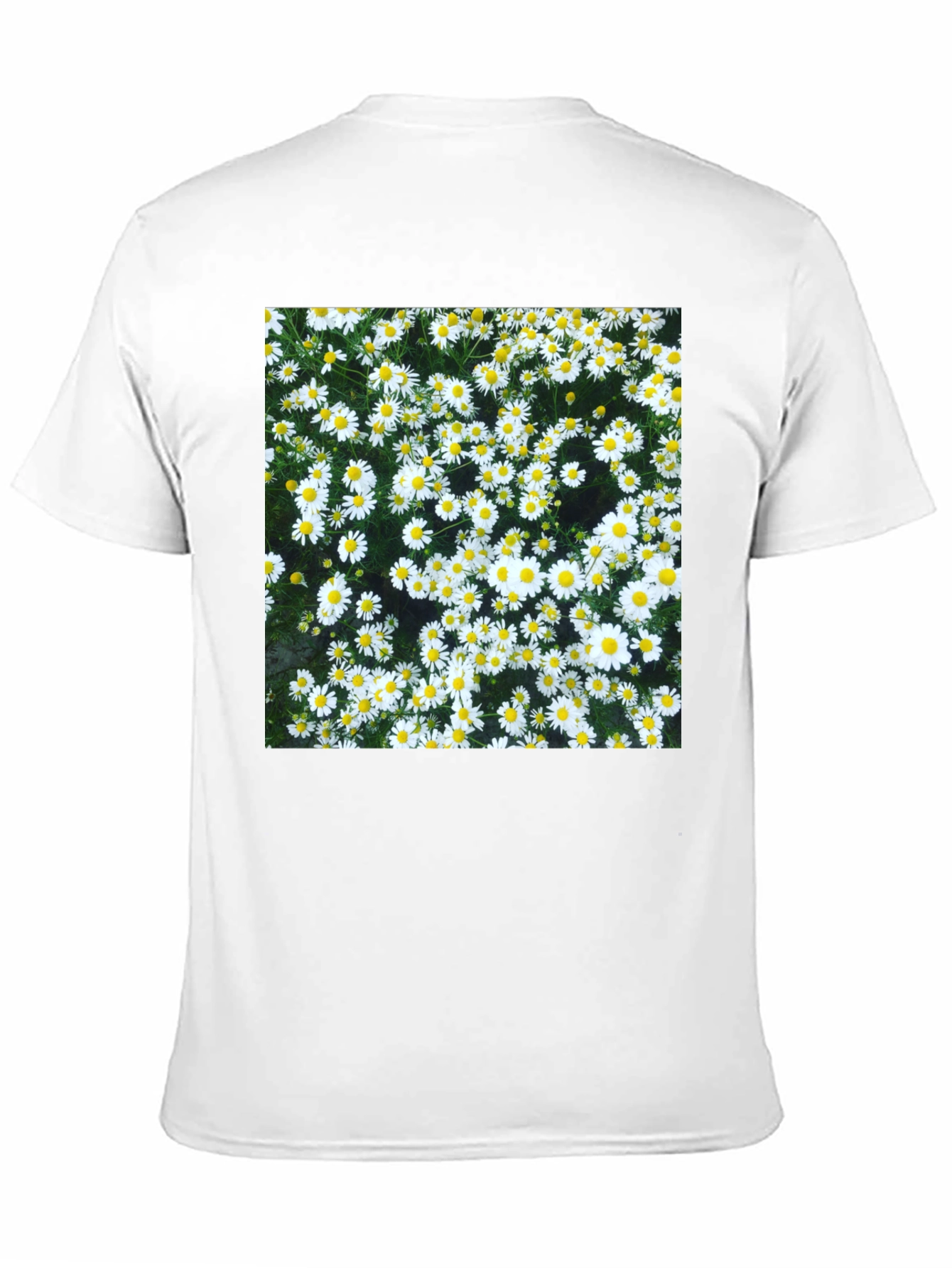 Daisy Print Black T-Shirt - Floral Pattern Tee
