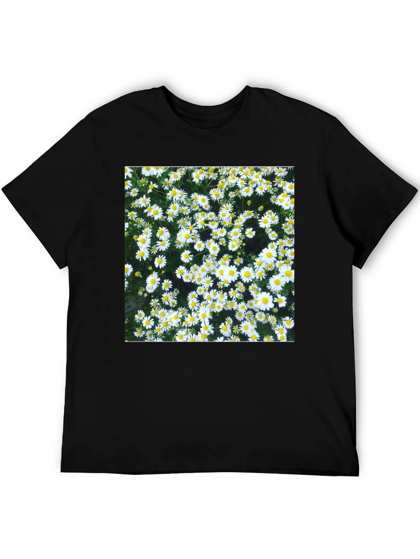 Daisy Print Black T-Shirt - Floral Pattern Tee