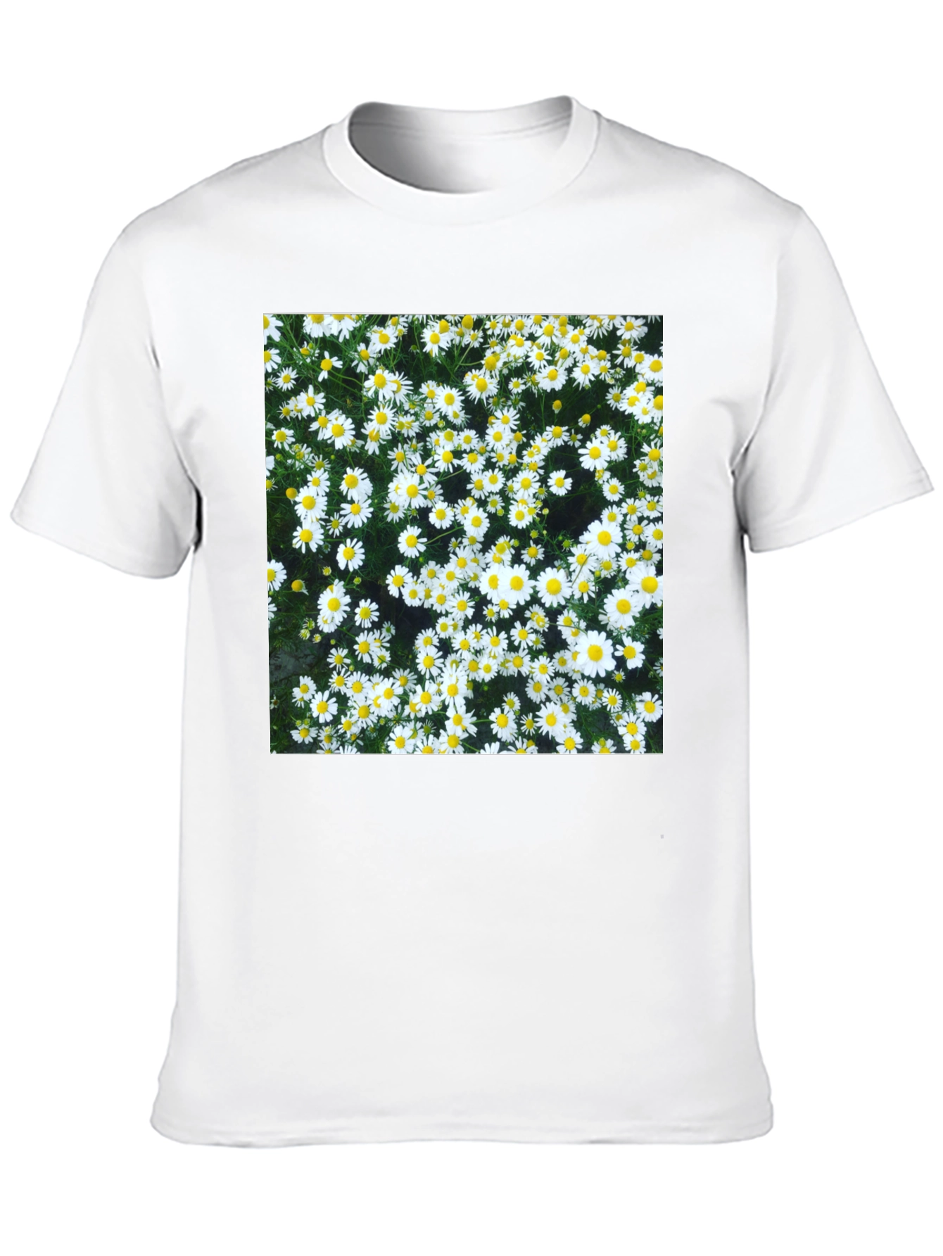 Daisy Print Black T-Shirt - Floral Pattern Tee