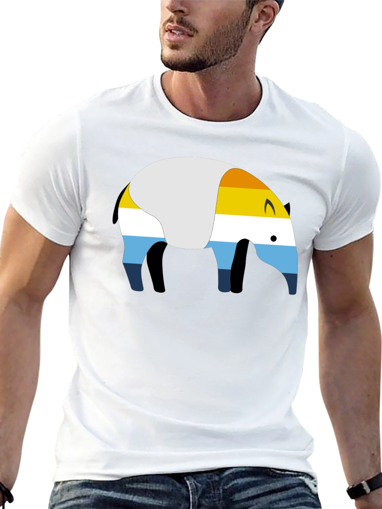 Arromantic Pride T-Shirt: A Symbol of Identity